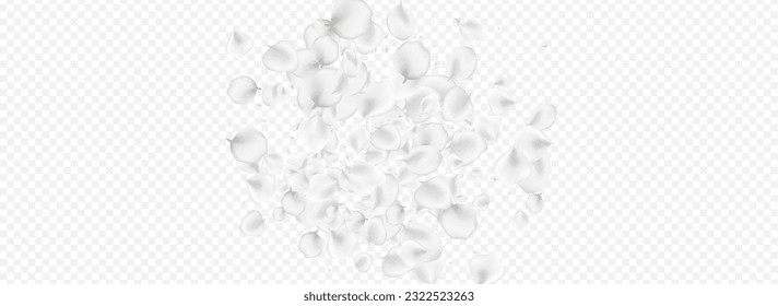 Snowy Rose Vector Transparent Panoramic Background. White Fly Petal Banner. Flying Floral Backdrop. Delicate Cherry Summer Texture.