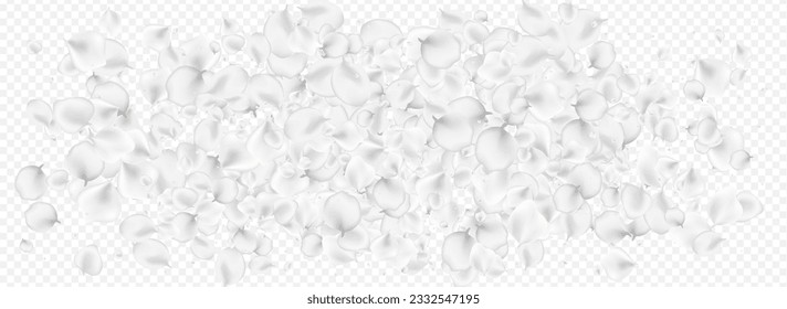 Vector de rosa nevado Fondo Panorámico Transparente. Fondo Floral Pastel Tender. Marco de belleza Sakura. Patrón de caída de Lotus gris.
