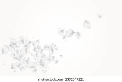 Snowy Sakura Vector Light Background. Delicate Flying Rose Backdrop. Fall Peach Texture. Gray Flower Falling Cover.