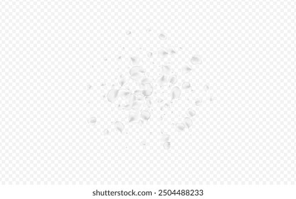 Snowy Sakura Vector Transparent Background. Pastel Japanese Lotus Backdrop. Fly Blossom Pattern. White Cherry Flying Poster.