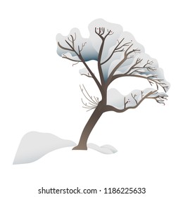 Snowy tree vector illustration - forest or park plant covered with snow isolated on white background. Winter decorative element for seasonal natural design in flat style.