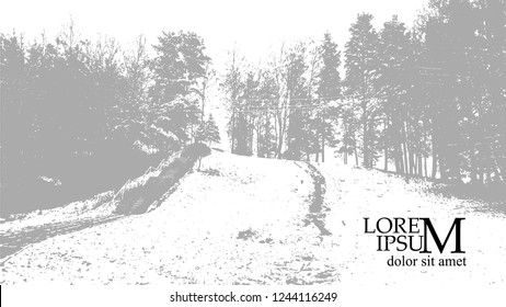snowy trees. Silhouette of a winter landscape. Vector