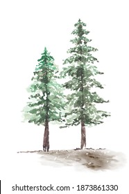 Snowy Winter Couple Pine Trees Hand-painted Watercolor