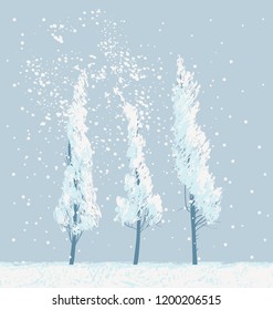 Snowy winter landscape or banner in white and gray colors with three slender snow-covered young trees. Vector illustration