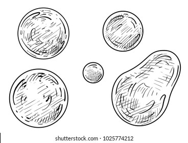 Soap bubble illustration, drawing, engraving, ink, line art, vector