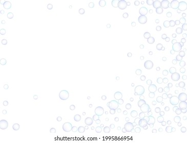 Soap bubbles flew randomly on a white background. Vector