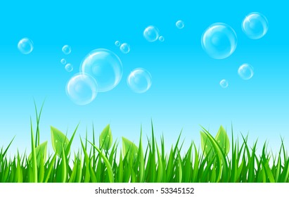Soap bubbles on summer meadow