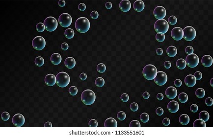 Soap bubbles with Rainbow Reflection. Set of Realistic Water or Soap Bubbles for Your Design. Shampoo or Foam Cosmetic Flyer and Invite. Bubble with Hologram Reflection. Isolated Vector Illustration.
