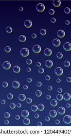 Soap bubbles with Rainbow Reflection. Set of Realistic Water or Soap Bubbles for Your Design. Shampoo or Foam Cosmetic Flyer and Invite. Bubble with Hologram Reflection. Isolated Vector Illustration.