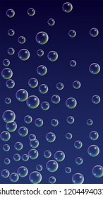 Soap Bubbles with Rainbow Reflection. Set of Realistic Water or Soap Bubbles for Your Design. Shampoo or Foam Cosmetic Flyer and Invite. Bubble with Hologram Reflection. Isolated Vector Illustration.