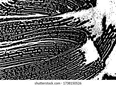 Textura de jabón. Fondo negro. Agua de espuma. La mancha de burbujas de jabón. Lather. Shampoo. Crema de conejo. Baño. Detergente de lavado. Limpieza. Lavado.