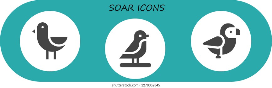  soar icon set. 3 filled soar icons. Simple modern icons about  - Bird