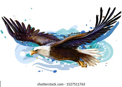 Soaring bald eagle. 
Color, realistic, art portrait of a soaring bald eagle on a white background in a watercolor style.