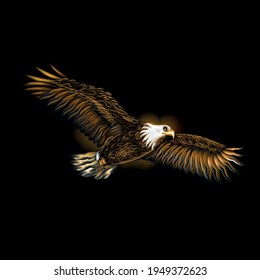 Soaring bald eagle. Realistic art portrait of a soaring bald eagle on a black background.