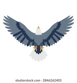 Soaring bald eagle vector with wide open wingspan