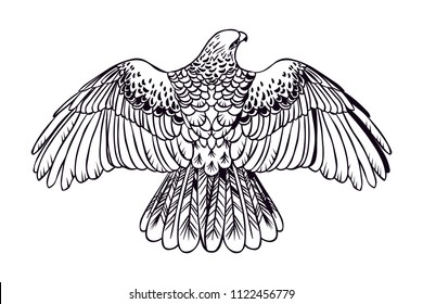 Soaring bird of prey. Vector hand drawn illustration.