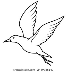 Soaring dove, vector illustration isolated on white background