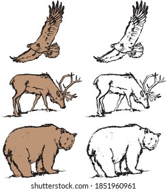 soaring eagle, feeding reindeer, big angry bear