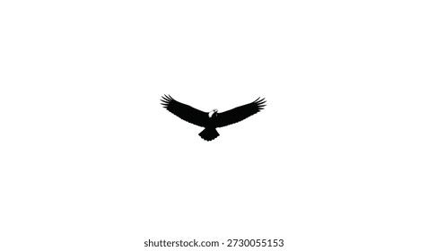 soaring eagle with open wings a striking black and white graphic silhouette