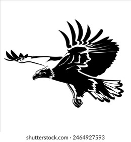 Soaring eagle, silhouette, vector stencil.