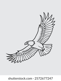 Soaring eagle with spread wings outline vector illustration. eagle in outline - vector illustration. isolated