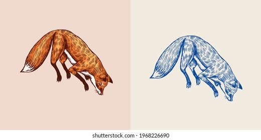 Soaring fox. Wild forest red animal jumping up. Food search concept. Vintage style. Engraved hand drawn sketch.