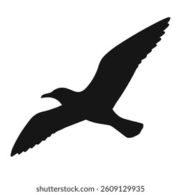 Soaring Freedom Silhouette Gull Bird in Flight