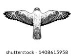 Soaring peregrine falcon. Vector hand drawn illustration