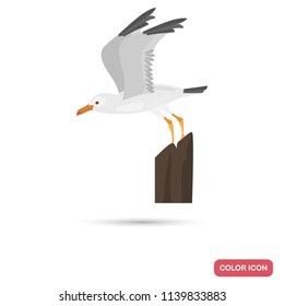 Soaring seagull color flat icon