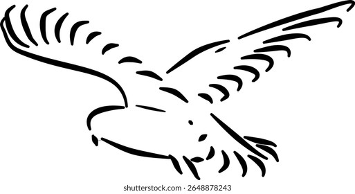 Soaring seagull illustration for product labels packaging travel branding summer print designVector illustration