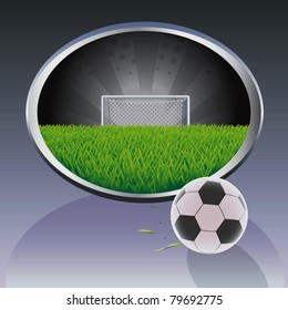Soccer background  with ball and goal.
