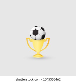 soccer ball and cup winner