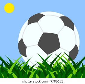 Fußball auf dem Feld mit Gras