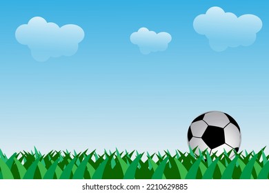 soccer ball and field grass vector. suitable for celebration of the world cup, european cup, and others. can be used as banners, posters, postcards, and more