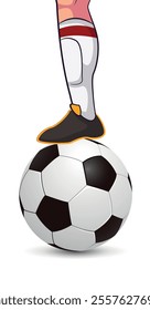 soccer ball, Football isolated on white Background, leather soccer ball, Soccer ball illustration for the web, Football Vector Design templet art.