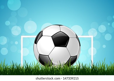 Soccer Ball with Soccer Gate in Green Grass