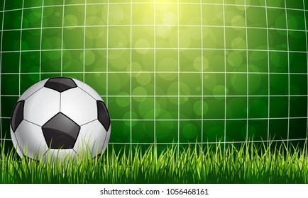 Soccer Ball in Goal