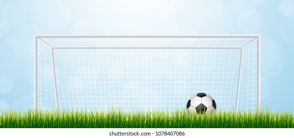 Soccer Ball in Goal