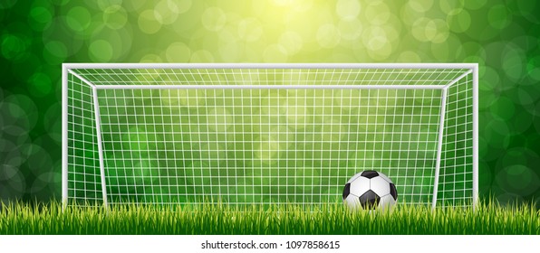 Soccer Ball in Goal