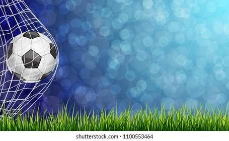 Soccer Ball in Goal