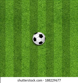 The soccer ball in grass 