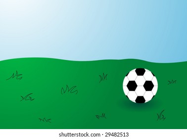 Soccer ball in grass field with blue sky.