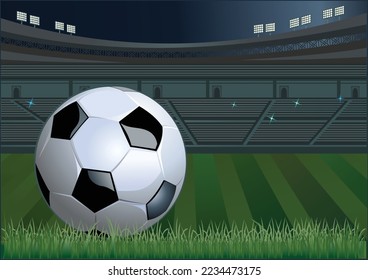 Soccer Ball in grass stadium