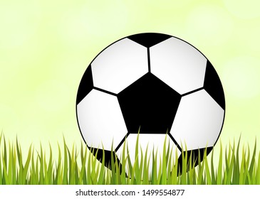Soccer ball in the grass - vector illustration

