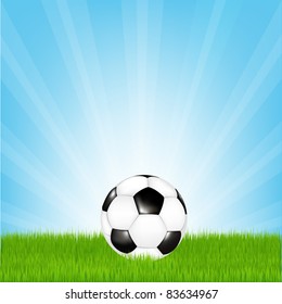 Balón De Fútbol En Ilustración De Grasa Y Vector