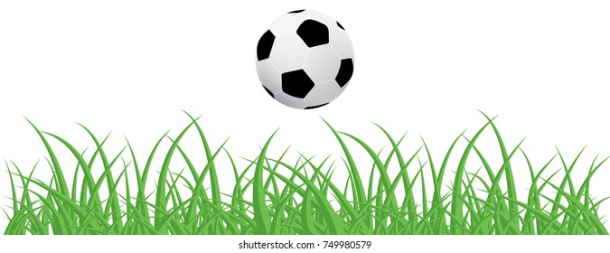 Soccer ball and green grass on white background. Vector illustration.