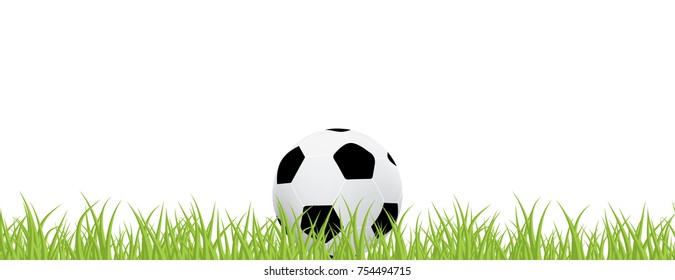 Soccer ball and green grass on white background. Vector illustration.