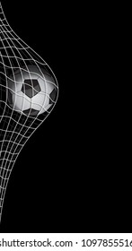 Soccer Ball in a Grid