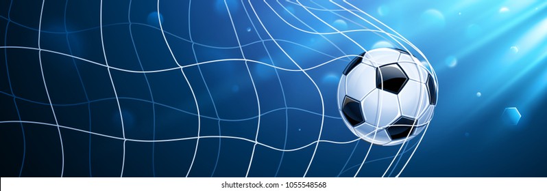 Soccer Ball in a Grid on a Blue Background. Scored a Goal. Vector illustration