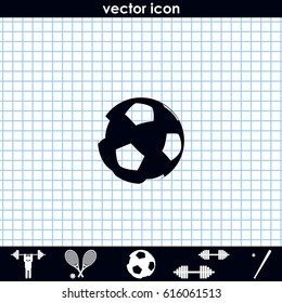 Soccer ball icon.